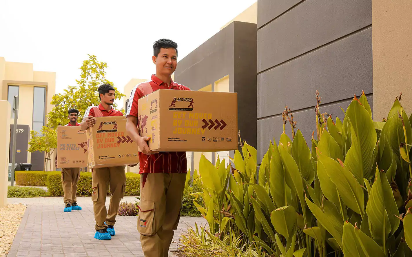 movein-01-1-6762a58d5fa30